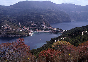 LEICA R8, ELMARIT-R 9cm 1:2,8